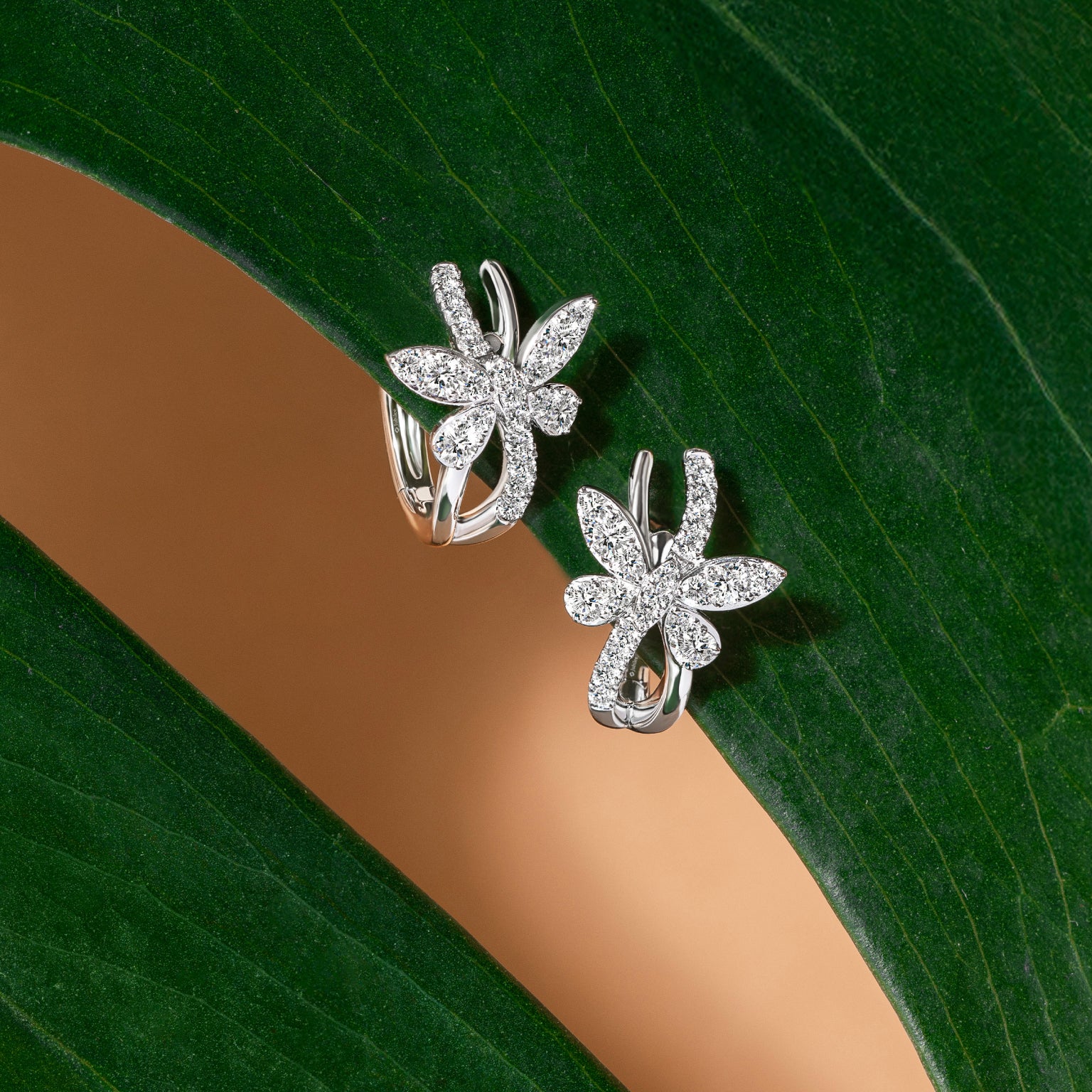 ต่างหูเพชร GENTLE FLY UP EARRINGS